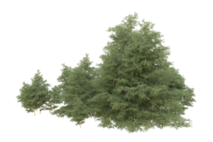 Realistic forest isolated on transparent background. 3d rendering - illustration png