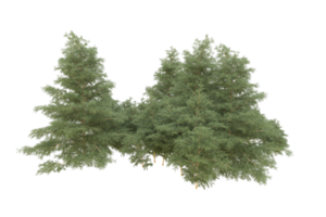 Realistic forest isolated on transparent background. 3d rendering - illustration png