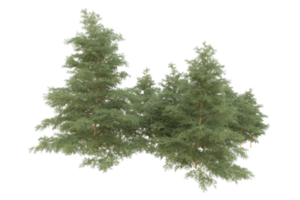 Realistic forest isolated on transparent background. 3d rendering - illustration png