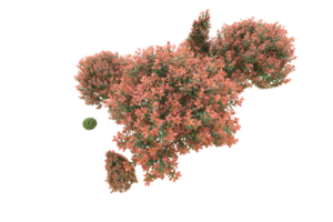 Realistic forest isolated on transparent background. 3d rendering - illustration png