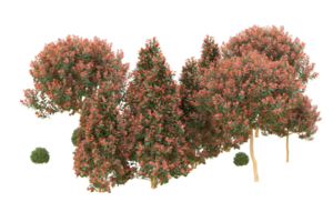 floresta realista isolada em fundo transparente. renderização 3D - ilustração png