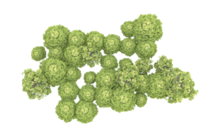 realistisk skog isolerat på transparent bakgrund. 3d tolkning - illustration png
