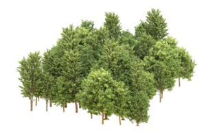 forêt réaliste isolée sur fond transparent. rendu 3d - illustration png