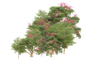 forêt réaliste isolée sur fond transparent. rendu 3d - illustration png