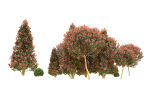 realistico foresta isolato su trasparente sfondo. 3d interpretazione - illustrazione png