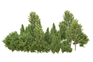 forêt réaliste isolée sur fond transparent. rendu 3d - illustration png