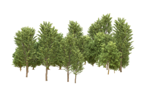 Realistic forest isolated on transparent background. 3d rendering - illustration png