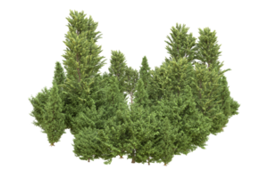 forêt réaliste isolée sur fond transparent. rendu 3d - illustration png