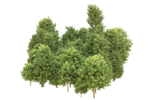 forêt réaliste isolée sur fond transparent. rendu 3d - illustration png