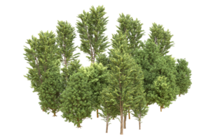 forêt réaliste isolée sur fond transparent. rendu 3d - illustration png