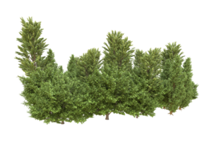 forêt réaliste isolée sur fond transparent. rendu 3d - illustration png