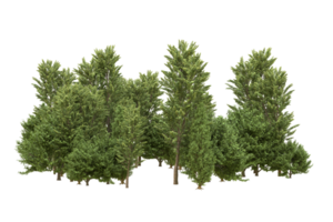 Realistic forest isolated on transparent background. 3d rendering - illustration png