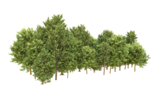 realistico foresta isolato su trasparente sfondo. 3d interpretazione - illustrazione png