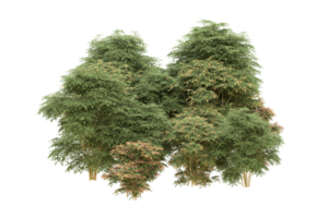 Realistic forest isolated on transparent background. 3d rendering - illustration png