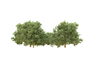 Realistic forest isolated on transparent background. 3d rendering - illustration png