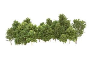 Realistic forest isolated on transparent background. 3d rendering - illustration png