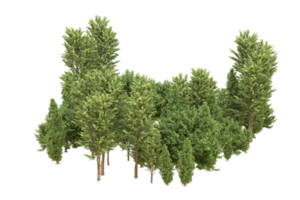 forêt réaliste isolée sur fond transparent. rendu 3d - illustration png