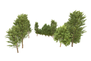 Realistic forest isolated on transparent background. 3d rendering - illustration png