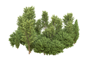 forêt réaliste isolée sur fond transparent. rendu 3d - illustration png