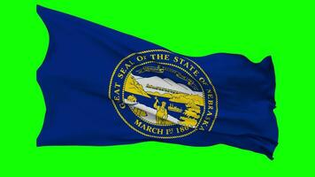 State of Nebraska Flag Waving Seamless Loop in Wind, Chroma Key Green Screen, Luma Matte Selection video