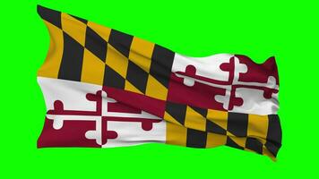 State of Maryland Flag Waving Seamless Loop in Wind, Chroma Key Green Screen, Luma Matte Selection video