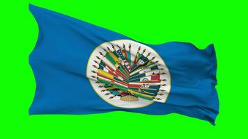 Organization of American States, OAS Flag Waving Seamless Loop in Wind, Chroma Key Green Screen, Luma Matte Selection video