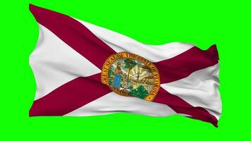 State of Florida Flag Waving Seamless Loop in Wind, Chroma Key Green Screen, Luma Matte Selection video