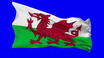 Wales Flag Waving Seamless Loop in Wind, Chroma Key Green Screen, Luma Matte Selection video