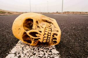 un cráneo en el la carretera foto