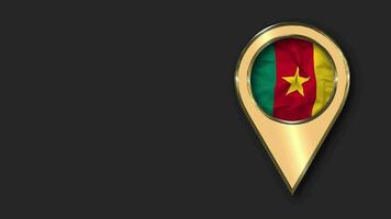Cameroon Gold Location Icon Flag Seamless Looped Waving, Space on Left Side for Design or Information, 3D Rendering video