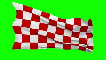 Racing Red and White Checkered Flag Waving Seamless Loop in Wind, Chroma Key, Luma Matte Selection video