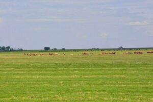 Beautiful rural view photo