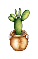 Watercolor illustration of a cactus in a pot. It's perfect for postcards, posters, banners, invitations, greeting cards, prints. Isolated . Drawn by hand. png