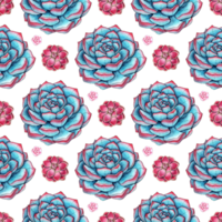 Watercolor illustration of a pattern of turquoise and pink succulents. It's perfect for postcards, posters, banners, invitations, greeting cards, prints. Isolated . Drawn by hand. png