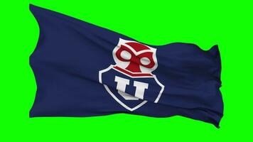 klubb universidad de chile flagga vinka sömlös slinga i vind, krom nyckel, luma matt urval video