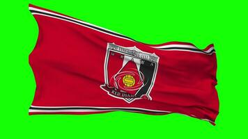 Urawa Red Diamonds Flag Waving Seamless Loop in Wind, Chroma Key, Luma Matte Selection video