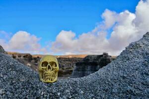 Skull on rocks photo