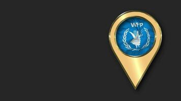 World Food Programme, WFP Gold Location Icon Flag Seamless Looped Waving, Space on Left Side for Design or Information, 3D Rendering video