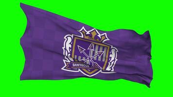 sanfrecce Hiroshima vlag golvend naadloos lus in wind, chroma sleutel, luma matte selectie video