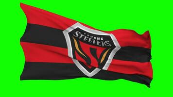 Pohang Steelers Football Flag Waving Seamless Loop in Wind, Chroma Key, Luma Matte Selection video