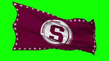 deportivo saprissa bandeira acenando desatado ciclo dentro vento, croma chave, luma fosco seleção video