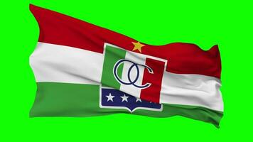 Once Caldas SA Football Flag Waving Seamless Loop in Wind, Chroma Key, Luma Matte Selection video