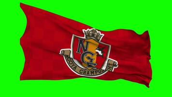 Nagoya Grampus Football Club Flag Waving Seamless Loop in Wind, Chroma Key, Luma Matte Selection video