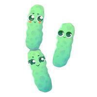 Vector illustration of a Bacillus subtilis bacteria in cartoon style.