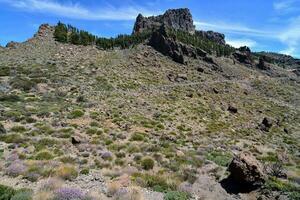 Scenic desert landscape photo