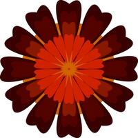 A flower with red and brown petals vector or color illustration