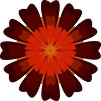 A flower with red and brown petals vector or color illustration