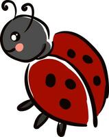 A small black-colored ladybug vector or color illustration