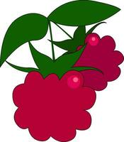 Clipart of two red fresh-looking raspberries with green leaves vector or color illustration