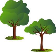 Couple of green trees vector illustration on white background